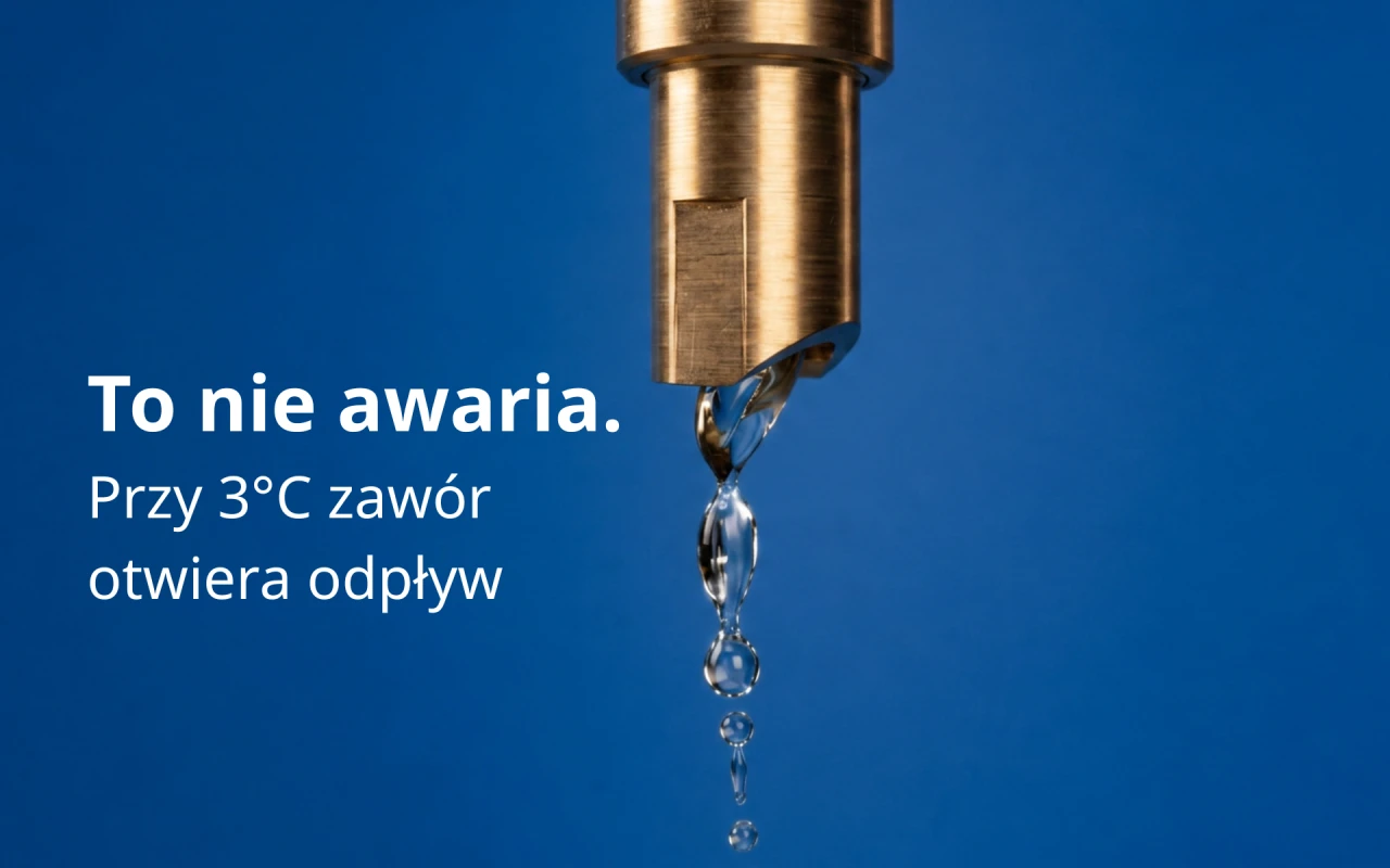 Tytuł grafiki