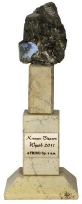 Statuetka Kruszec Biznesu 2011 dla AFRISO