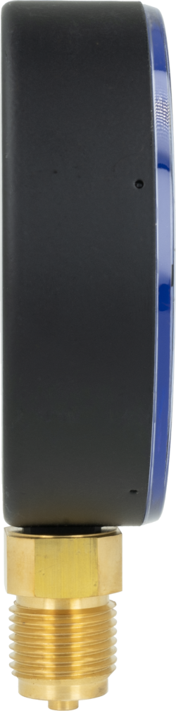 Manometr standardowy RF 100, D201, fi100 mm, 0÷6 bar, G1/2", rad, kl. 1,6