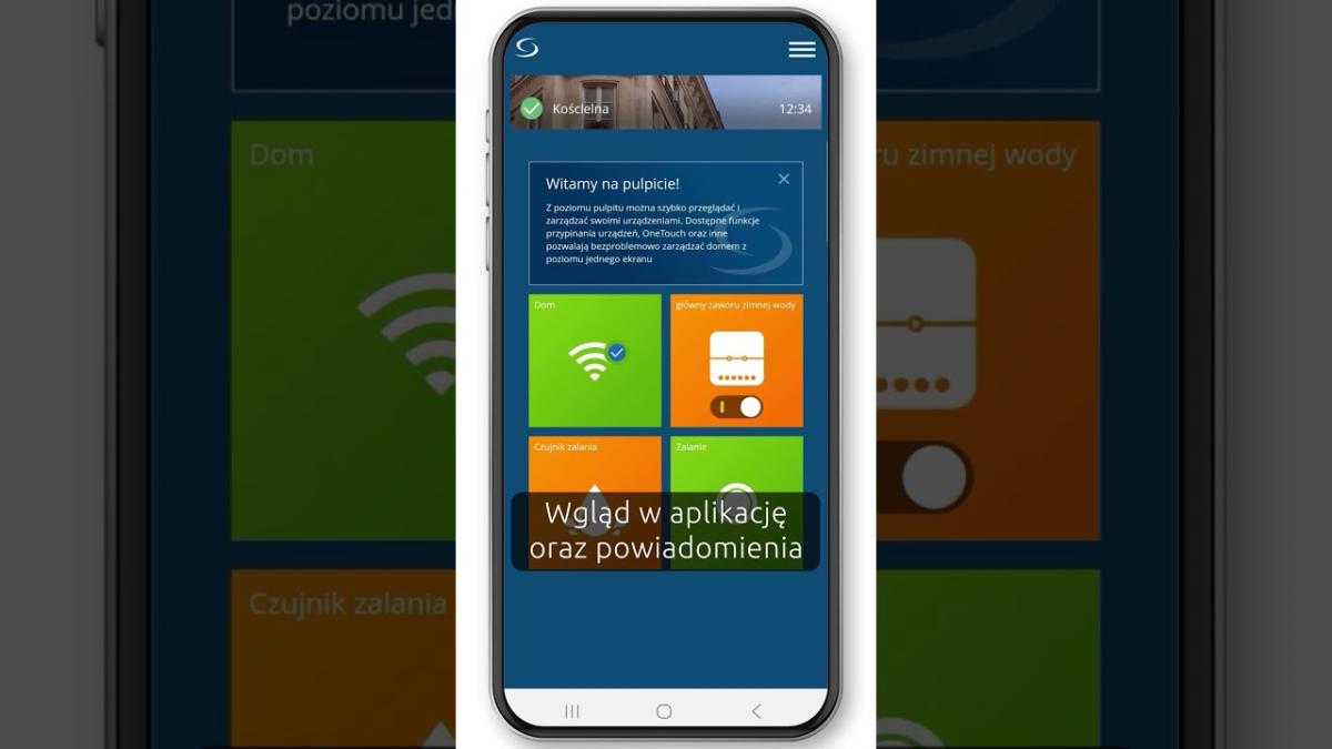 SALUS Zalety zestawu przeciwzalaniowego